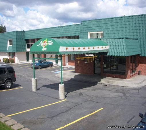 Apple Tree Inn Spokane Luaran gambar